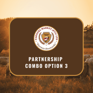 Partnership Combo Option 3